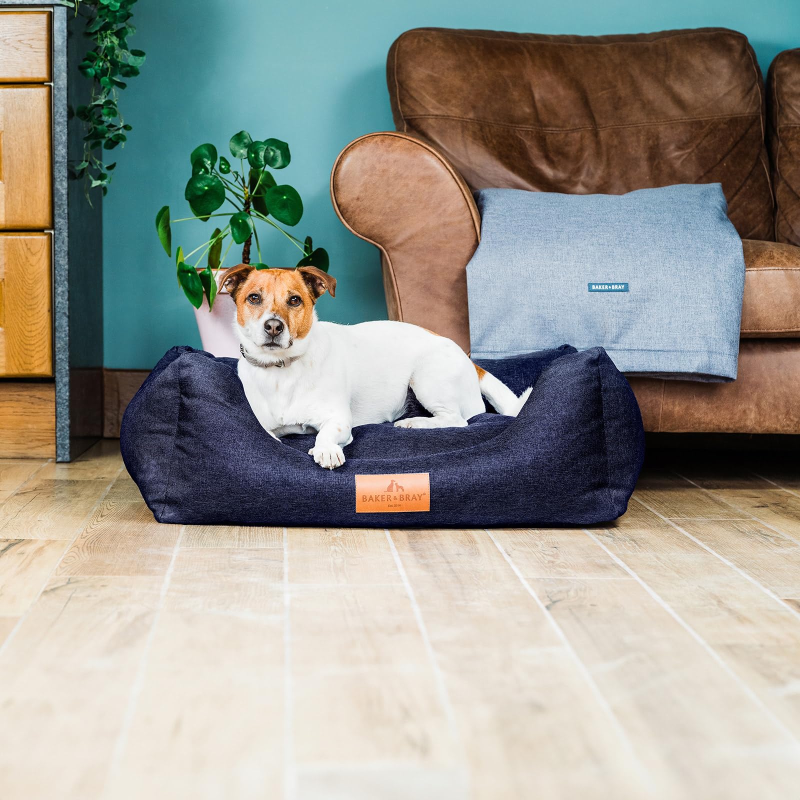 Baker and Bray - The Ultimate - Eco Friendly Orthopaedic Luxury Dog Bed. Handmade in Europe. Navy Blue (Small/Medium up to 14 kg).