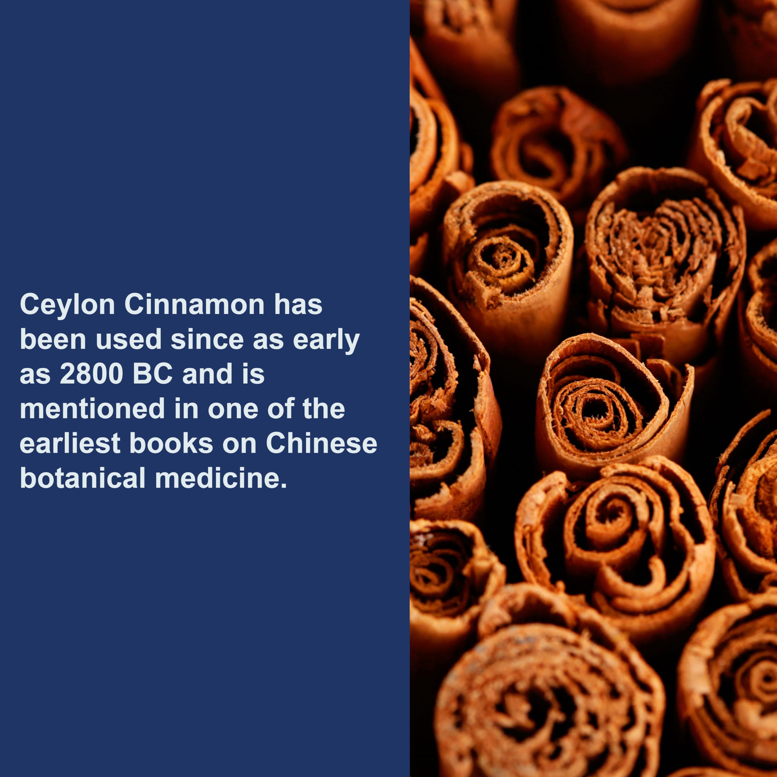 Carlson Ceylon Cinnamon, Cinnamon Supplements, 500 mg, 90 Capsules — Amazon image 5
