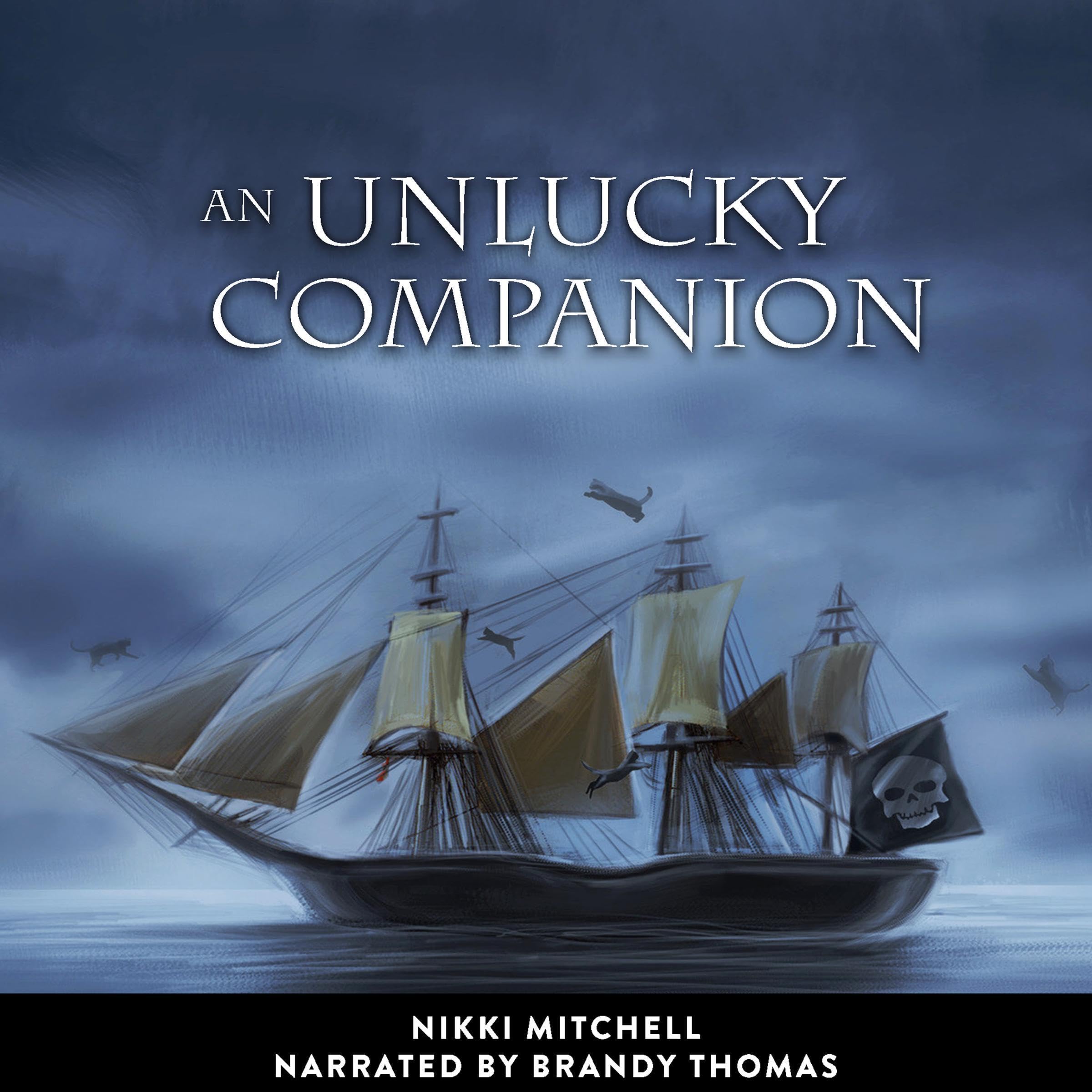 Cover art for An Unlucky Companion