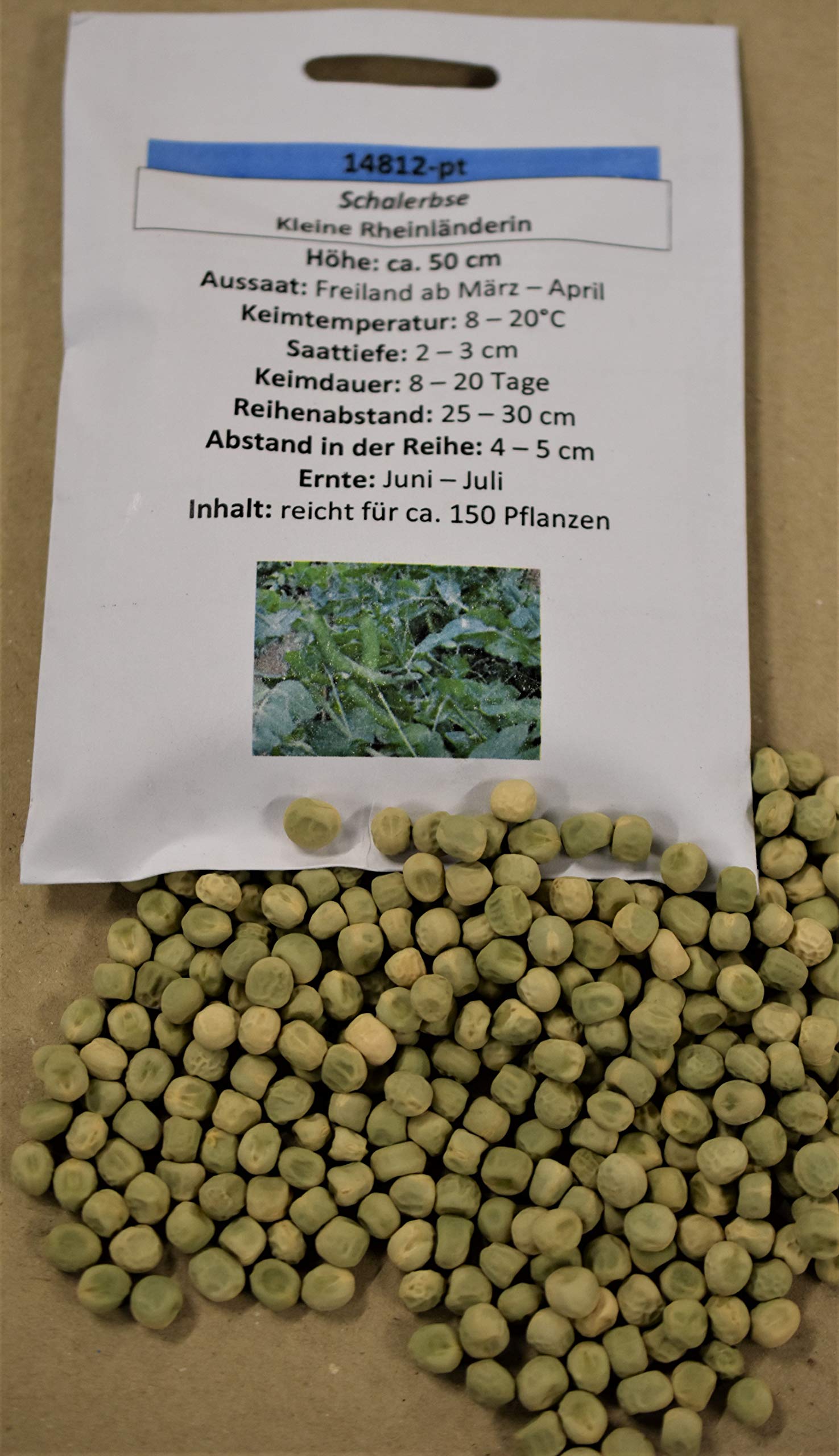 50 g Erbsen Kleine Rheinländerin - süsse Erbsen zum Naschen - Gartenerbse Speiseerbse Erbse Schalerbse 50 g Erbsen Kleine Rheinländerin - süsse Erbsen zum Naschen - Gartenerbse Speiseerbse Erbse Schalerbse