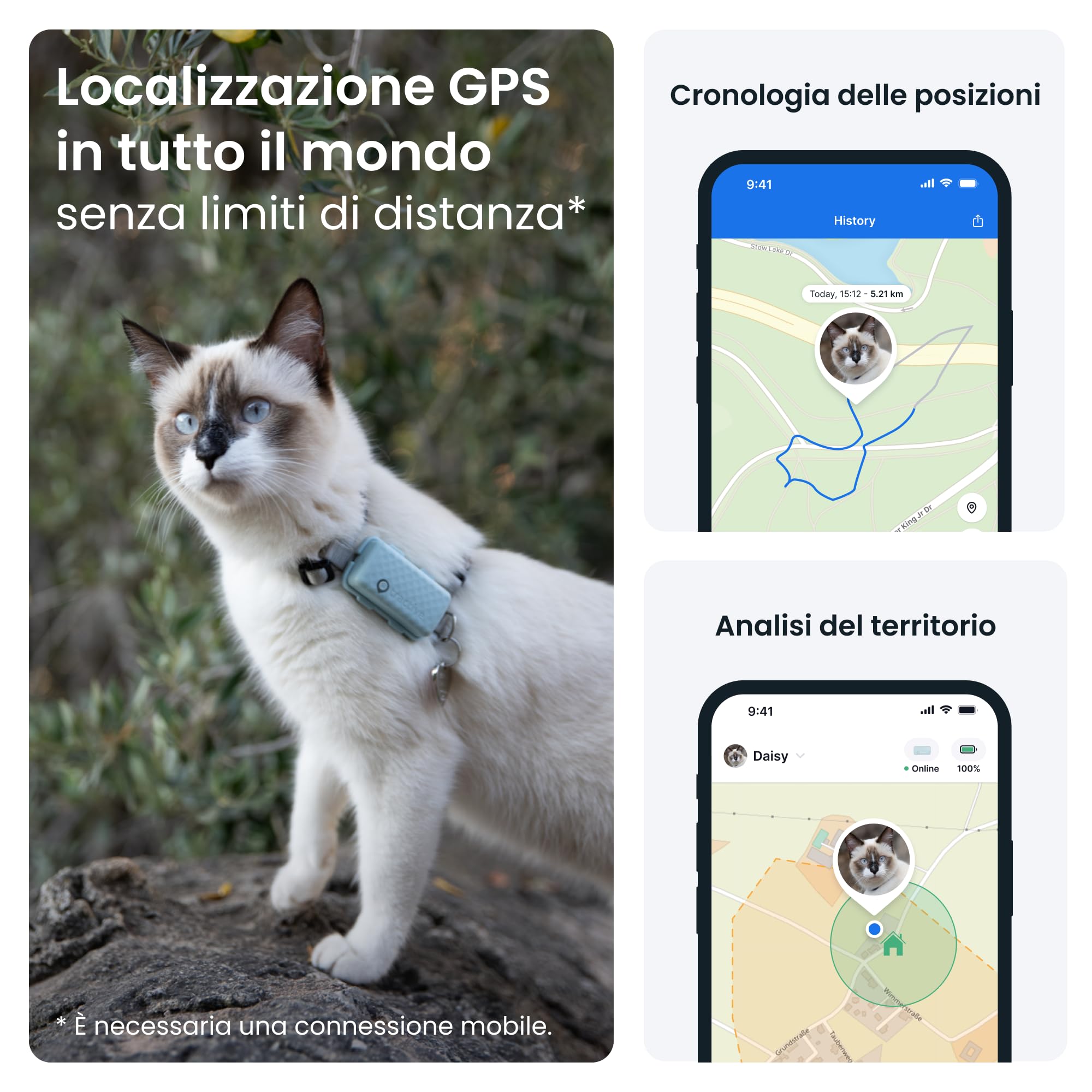 Tractive - GPS gatto modello Mini | N. 1 sul mercato | Localizzazione in tempo reale | Cronologia delle posizioni | Monitoraggio dell'attività | Collare incluso