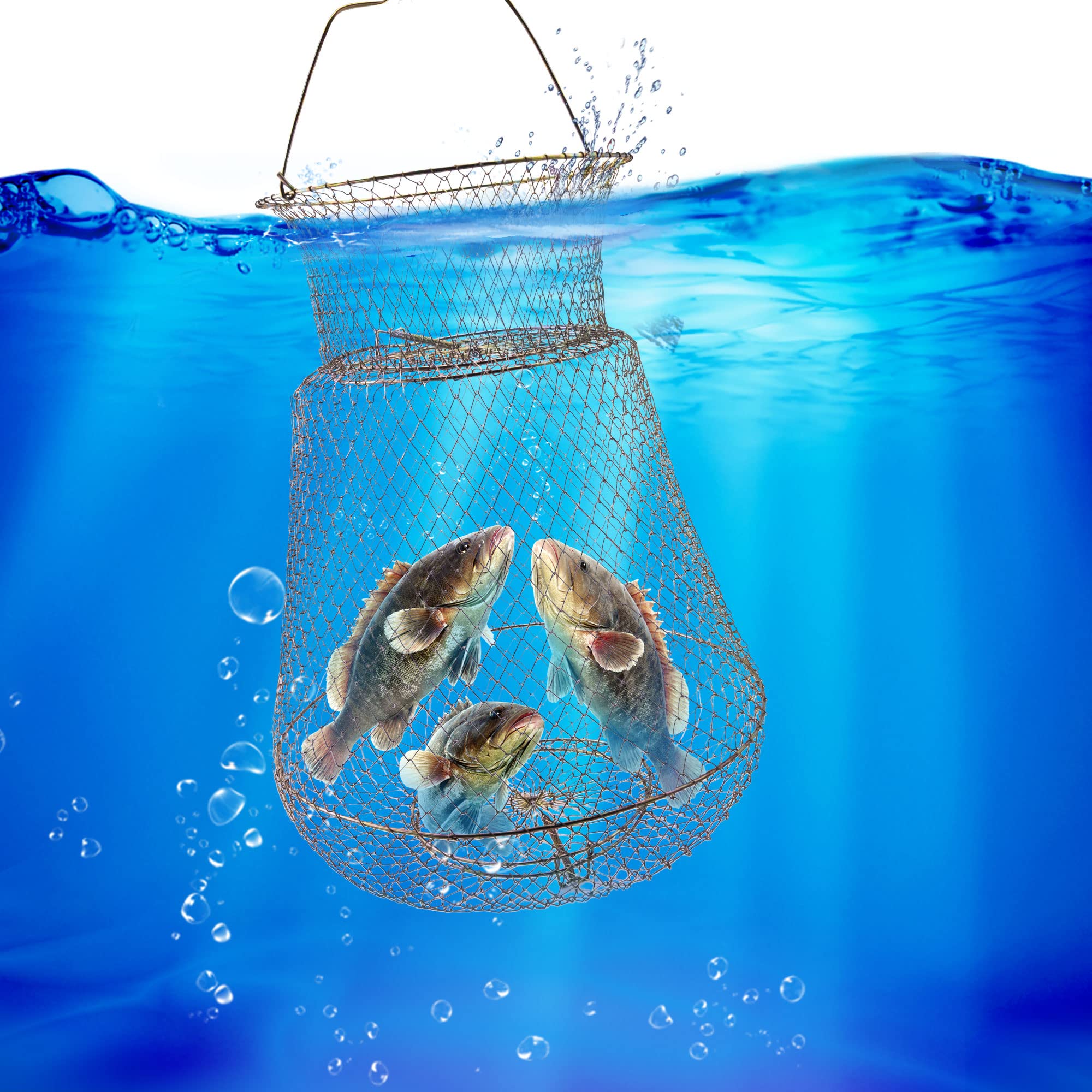 Fish Roe Basket Snapklik.com : UCandy Galvanized Steel Wire Fish Baskets, Portable ...