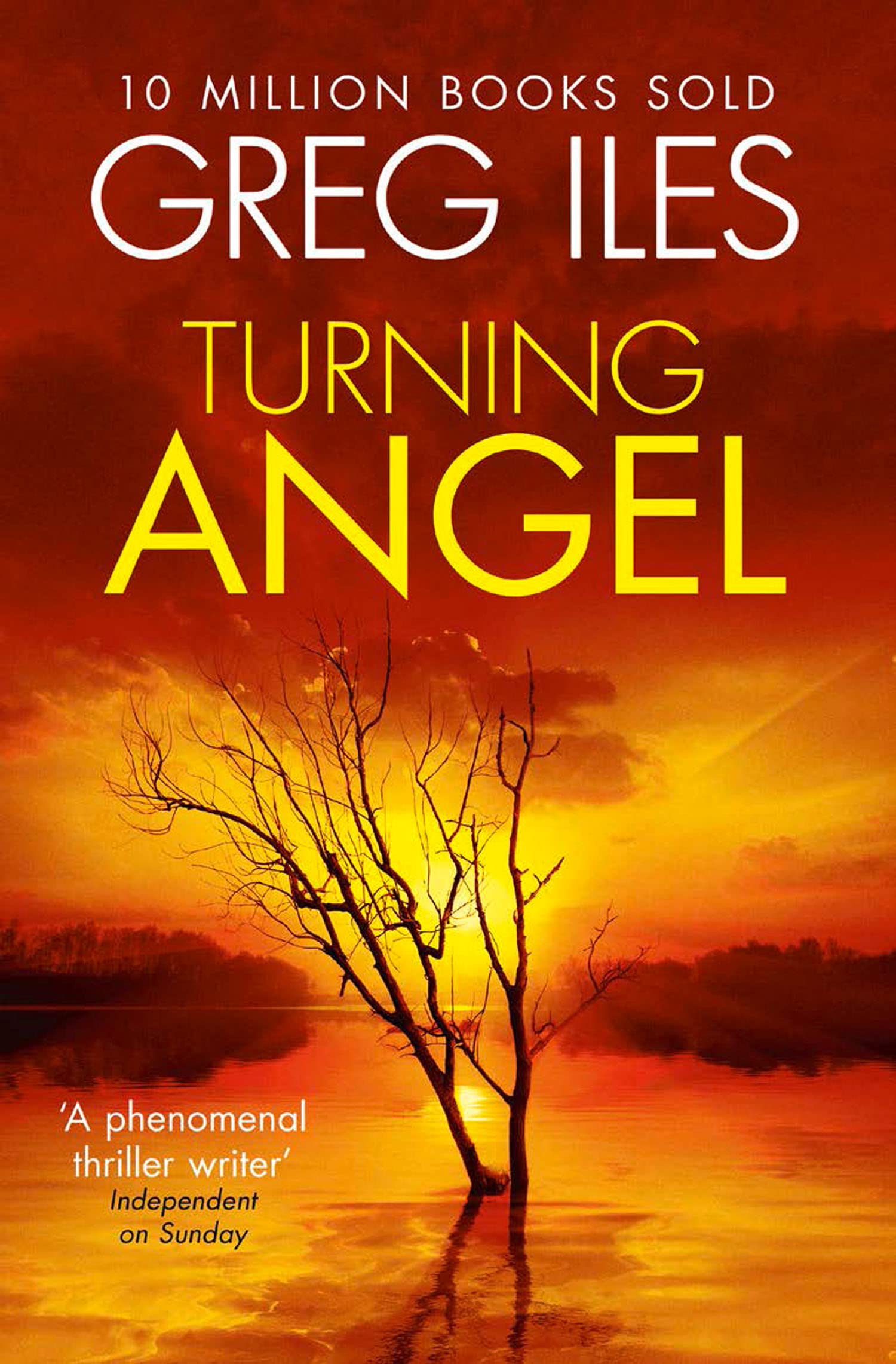 TURNING ANGEL: A suspenseful crime thriller novel set in the Deep South