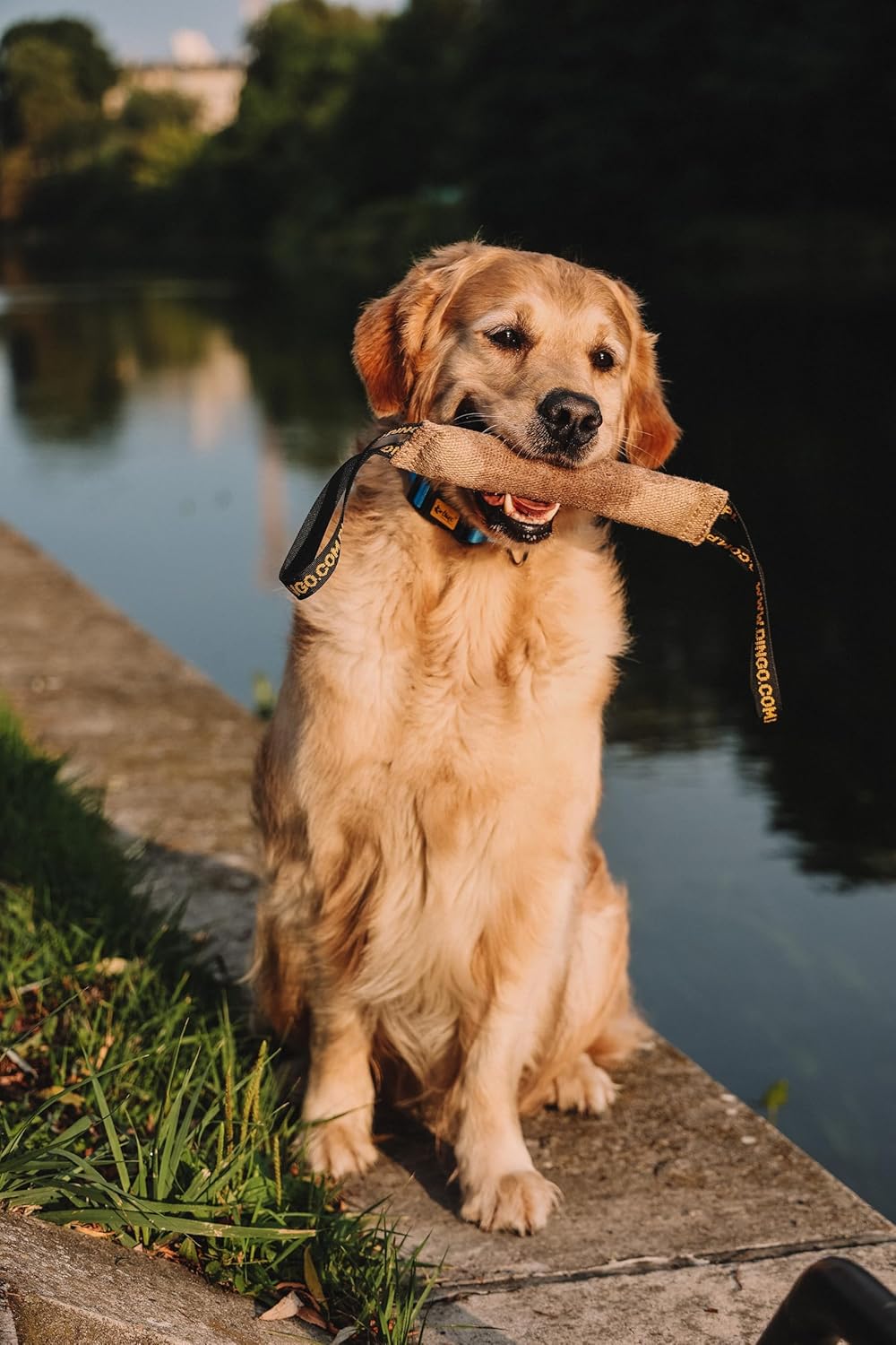 DINGO Jute Tug Toy Reinforced 2 Handles Pull Rope... 27 DINGO Jute Tug Toy Reinforced 2 Handles Pull Rope...