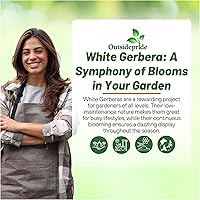 Vista 83 de Outsidepride Bicolor Mix Gerbera Seeds - 10 Pcs Perennial, Compact & Low Maintenance, Flower Seeds for Planting w/Vibrant Mixed Blooms, Ideal for