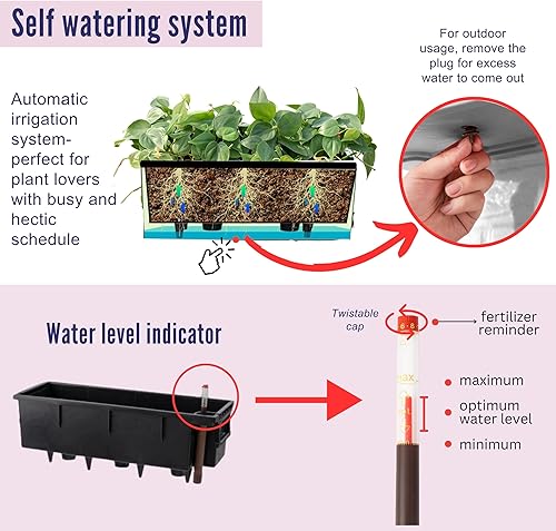 Miniatura 3 de LaLaGreen - Macetero para plantas de interior (14 pulgadas, 2 unidades), color negro, rectangular, con riego automático, macetas con drenaje,