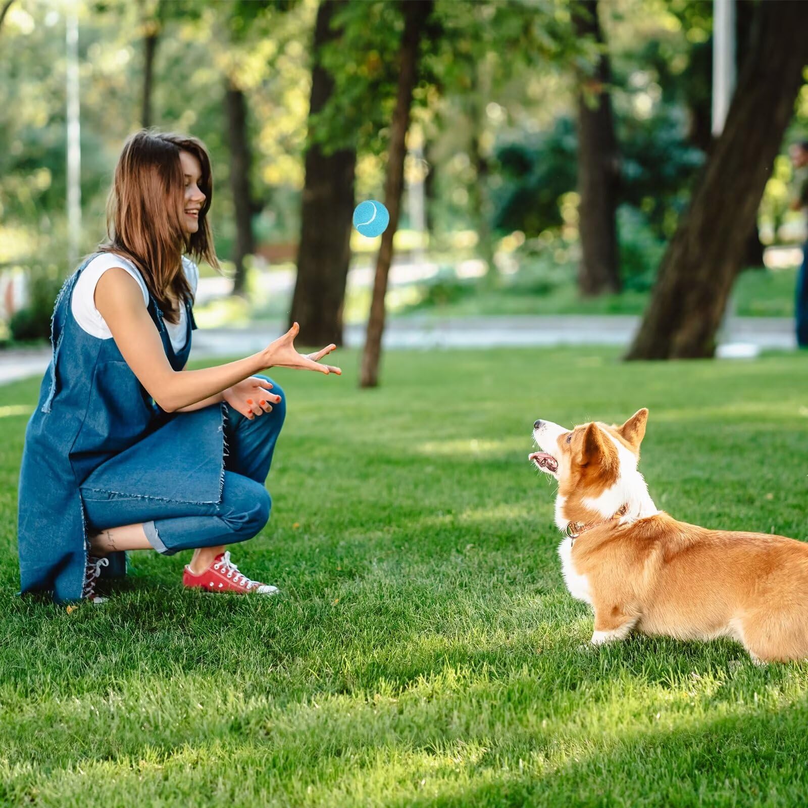 PrimePets Quietschbälle für Hunde, 6,3 cm Hundespielzeug, interaktives Hundespielzeug, Tennisbälle für drinnen und draußen, Quietschspielzeug für mittelgroße und große Hunde
