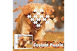 Make Your Own Custom Jigsaw Puzzles from Your Favorite Photos