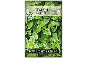 ZenBasil Dwarf Greek Basil Seeds - for Indoor and Outdoor Growing