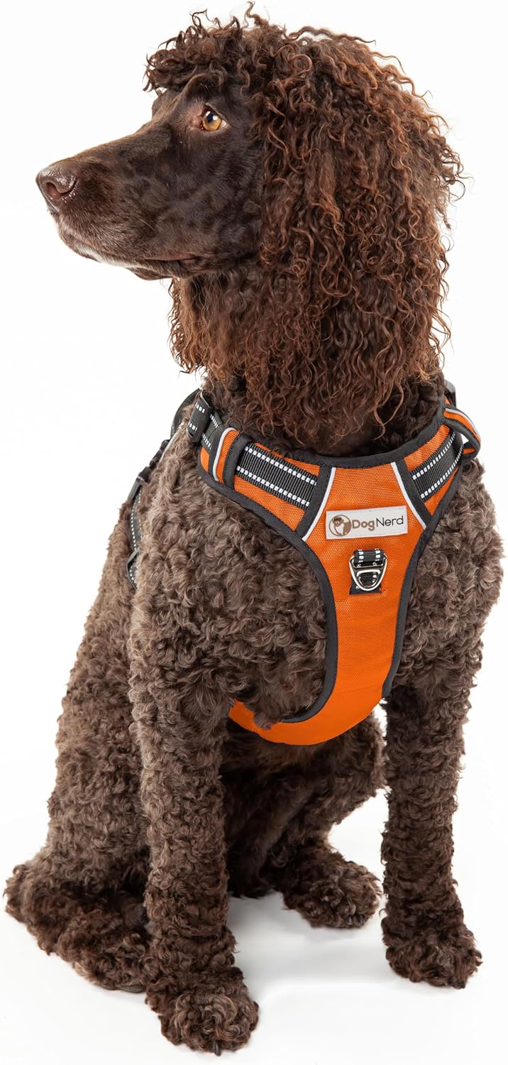 Premium Adjustable Full Coverage Vest/Harness for Large (50-90lbs) Dogs - Metal Clips, Padded Handle, 2 Leash Clips, Durable Oxford Fabric, Reflective Trim - No Choke, No Pinch (Blaze Orange)