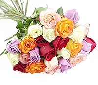 Vista 55 de KaBloom - Rosas arcoíris (media docena)- Flores frescas para cumpleaños, San Valentín y Día de la Madre
