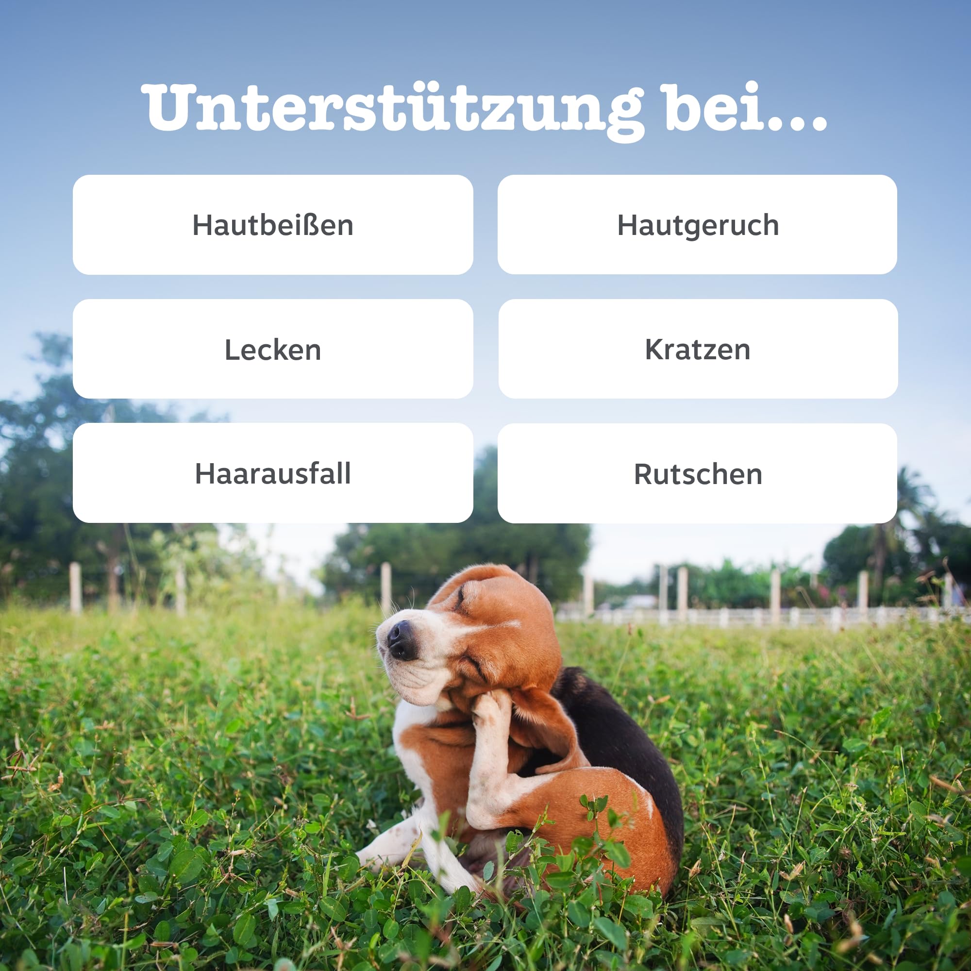 Zesty Paws Anti-Itch für Hunde – Hilfe bei juckender Haut, Pfoten & Ohren – Gegen Lecken & Kratzen – Unterstützt Immunsystem & Verdauung – Mit Lachsöl & Probiotika – 90 Soft Chews