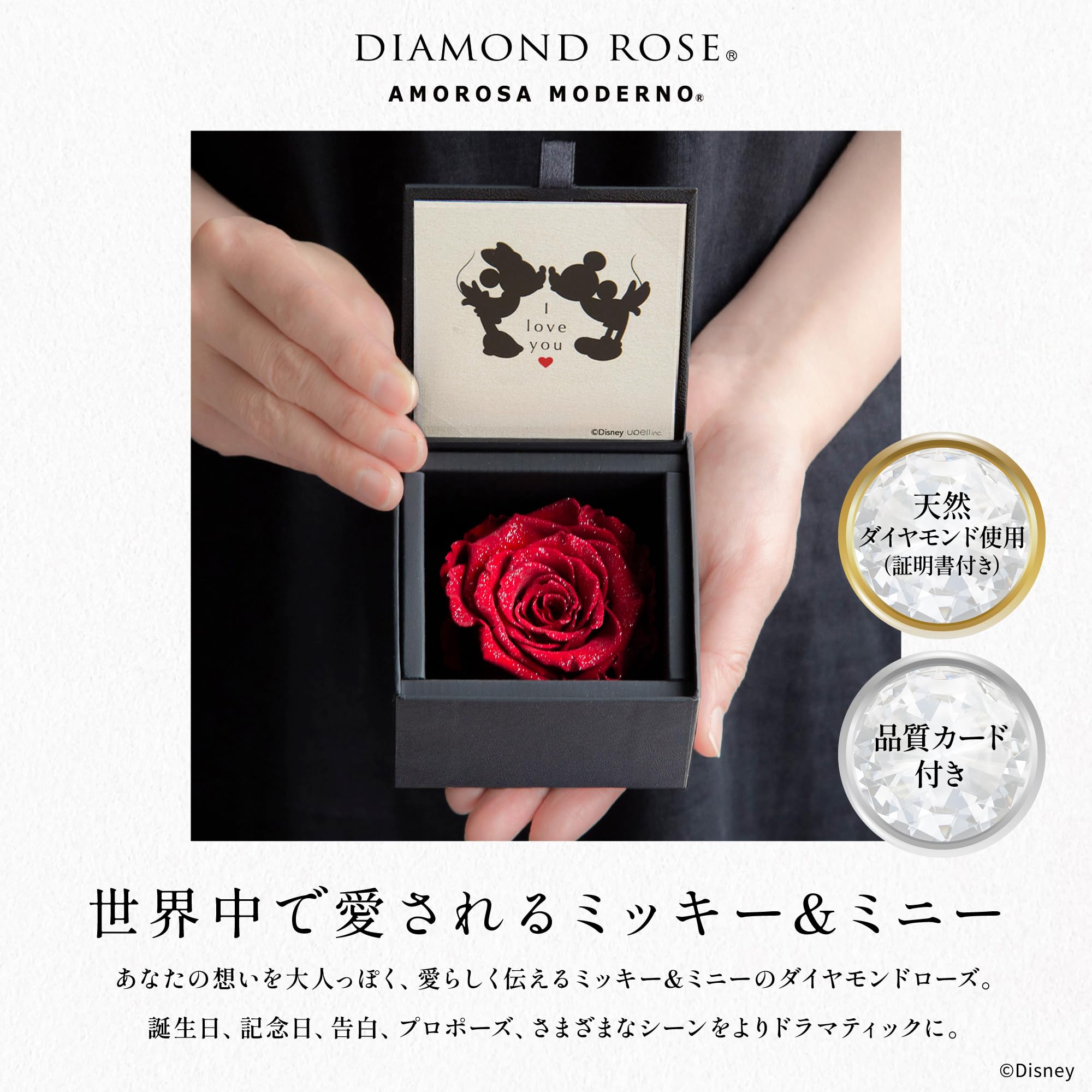 Amazon｜アモローサ モデルノ AMOROSA MODERNO プリザーブドフラワー
