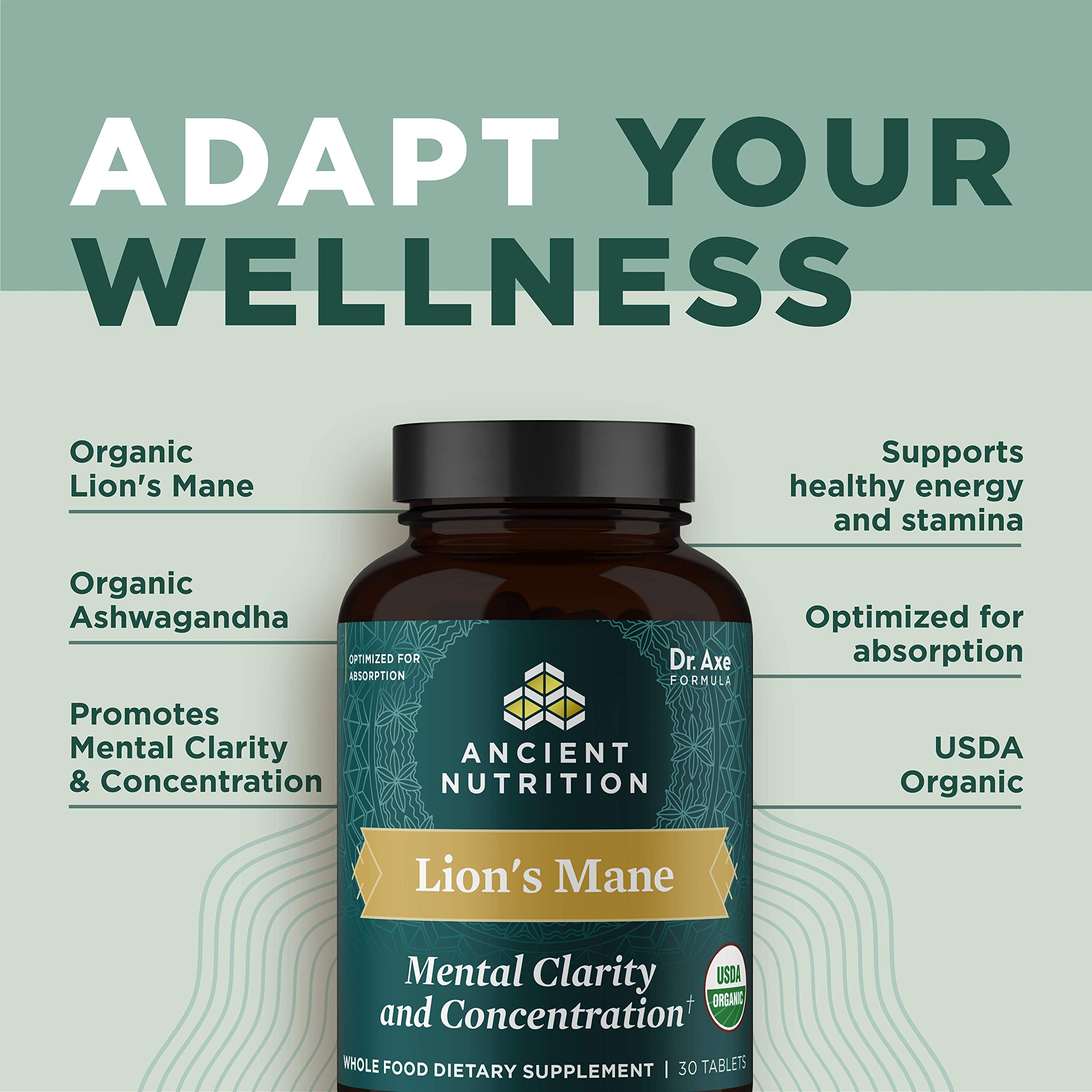 Ancient Nutrition Organic Lion's Mane Mushroom Tablets — Amazon image 4