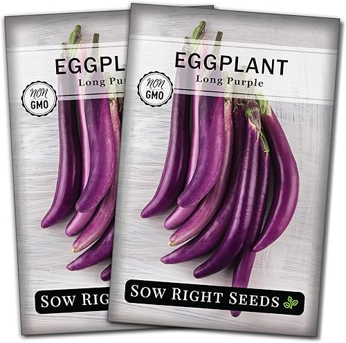 Sow Right Seeds - Semillas largas de berenjena morada para plantar - Paquete de reliquia sin OMG con instrucciones para plantar un huerto doméstico