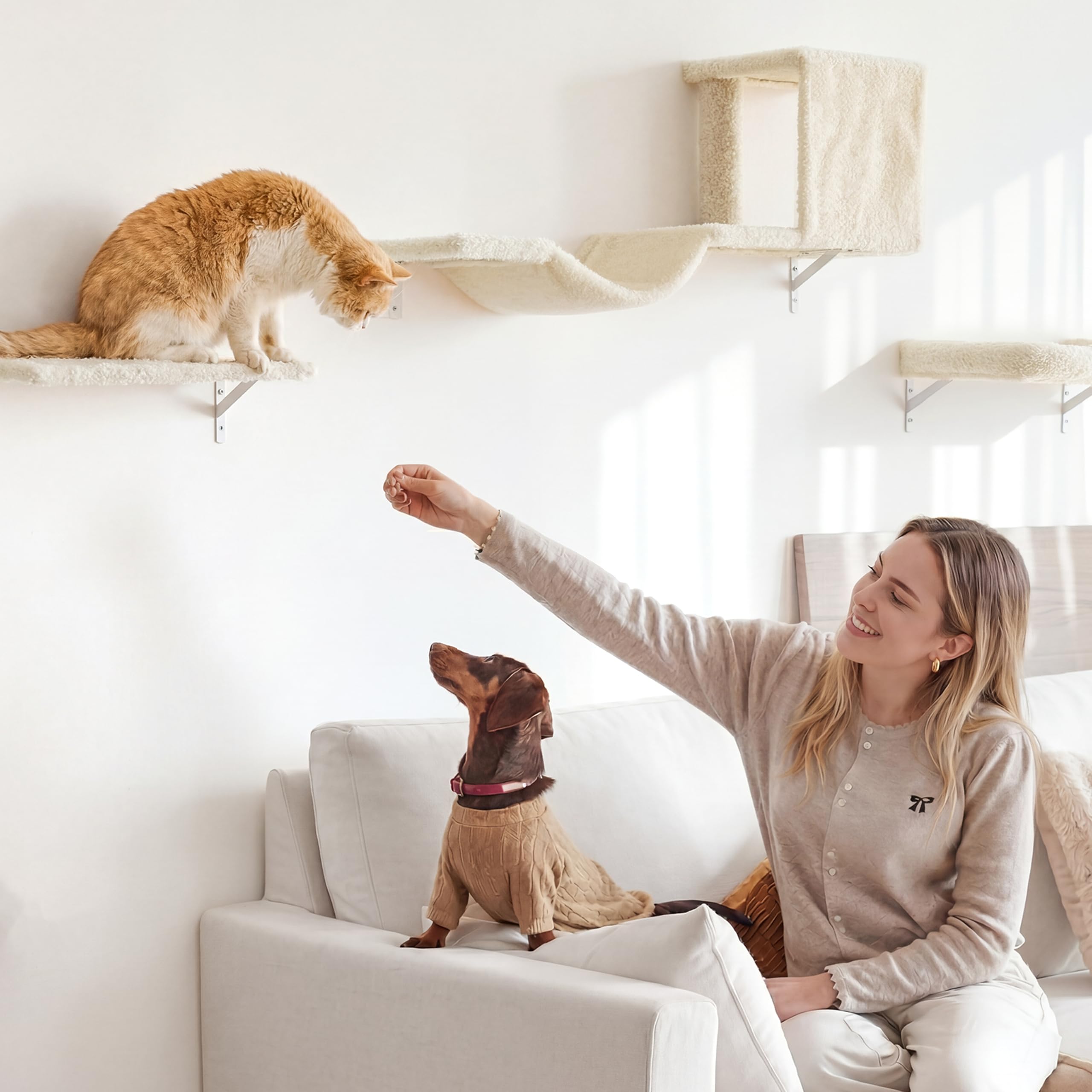 FUKUMARU Étagères Murales pour Chat, 4 en 1 Ensemble de Meubles Muraux, Mur d'escalade en Bois avec Griffoir, Pont et Lit pour Chat, Beige