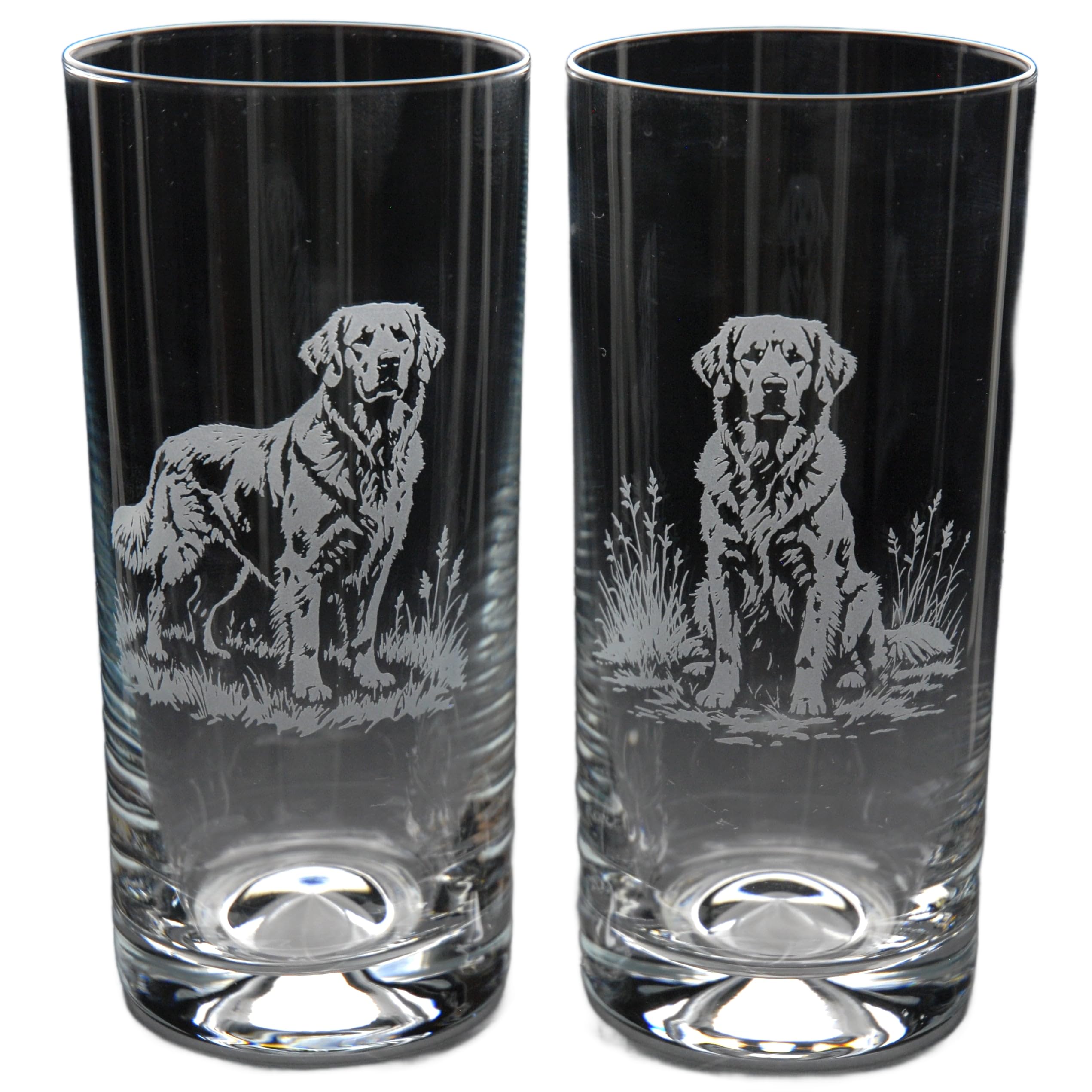 GLYPTIC Glass Art Golden Retriever Dog Placement Hand Etched/Engraved Highball Glass