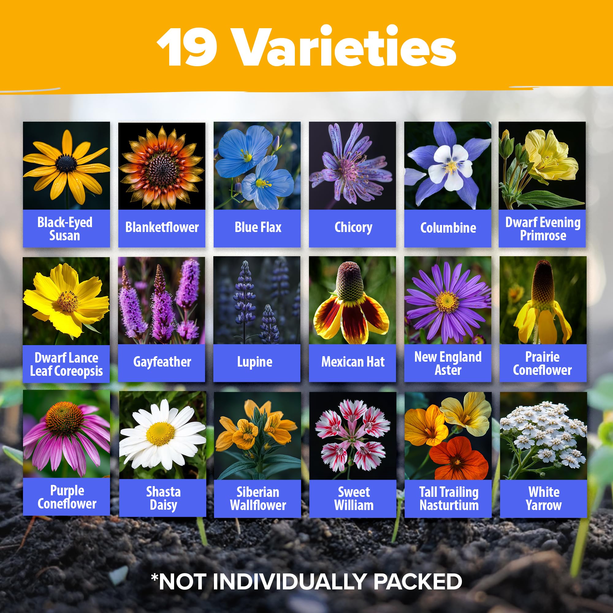 Más de 63 200 semillas de flores silvestres a granel, 4 onzas de semillas perennes de flores silvestres, semillas de jardín de mariposas para atraer pájaros y abejas, 19 variedades 7