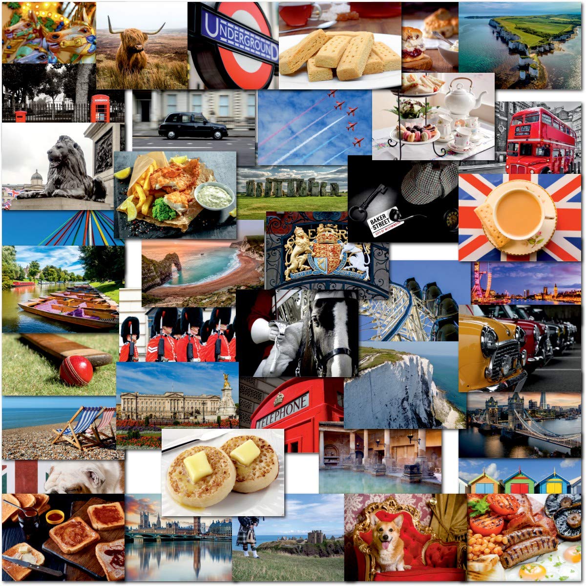 View 5