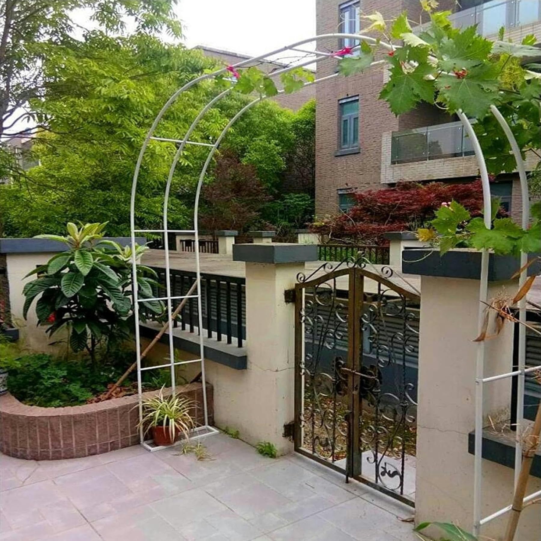 Arco Roses pour plantes grimpantes, arches métalliques, résistantes à l'arche de jardin, gazebo, mélèze, 80-350 cm, pour mariages, fêtes, jardin (couleur : vert, taille : 80 x 200 cm)