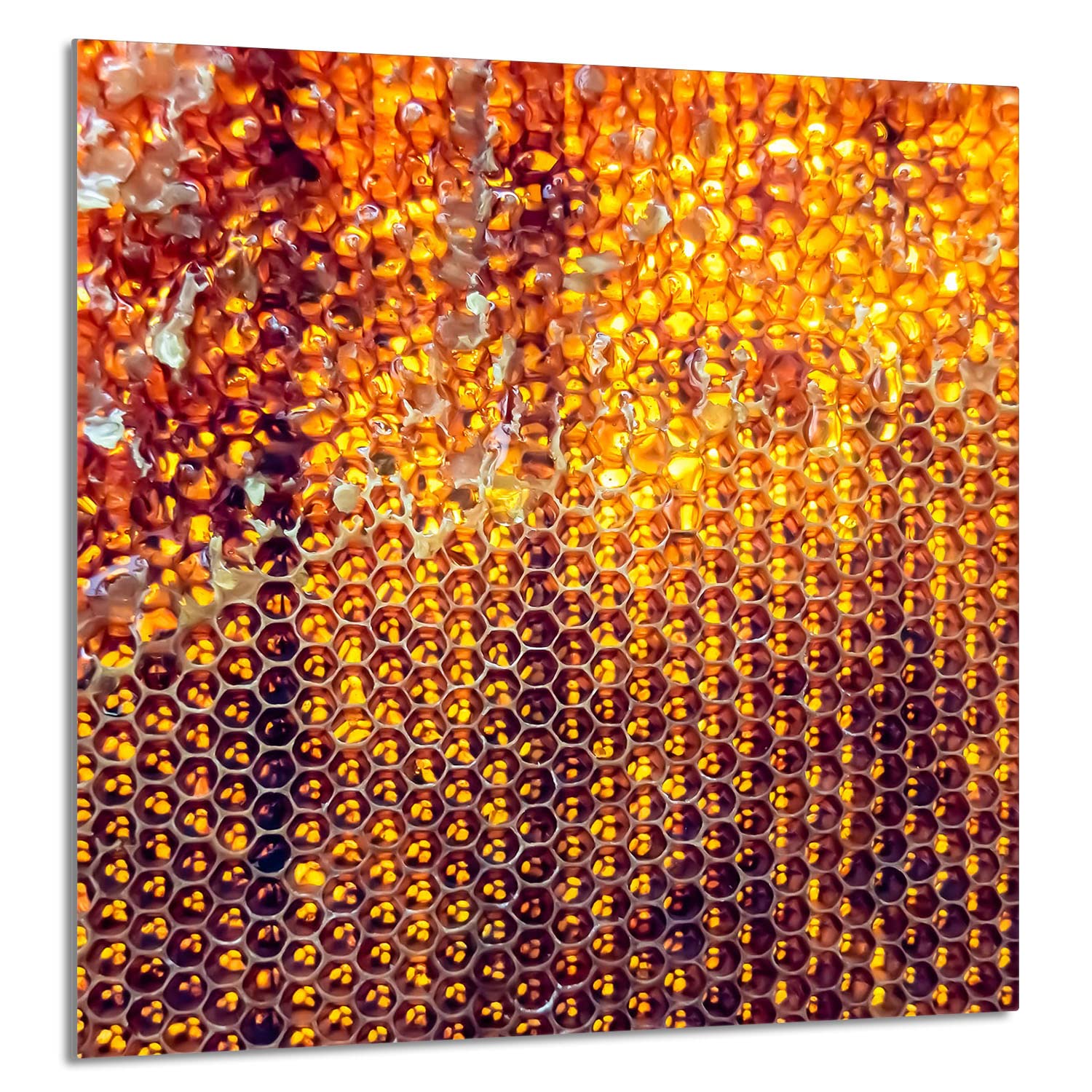 Szklany panel ochronny do kuchni Lacobel, szklana płyta ochronna na kuchenkę, 60x65 cm, szklana deska do krojenia, ochrona przed rozpryskiwaniem, uniwersalna, MIÓD