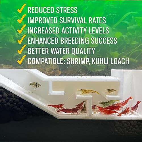 Miniatura 7 de Túnel de fiesta de camarones para acuario, incluye una exquisita habitación VIP y dos entradas, cueva de túnel para que los camarones descansen y se