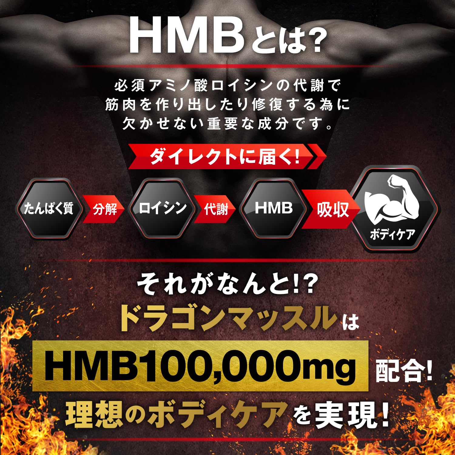 Amazon.co.jp: HMB 100,000mg クレアチン 日本製 36日分 GMP認定