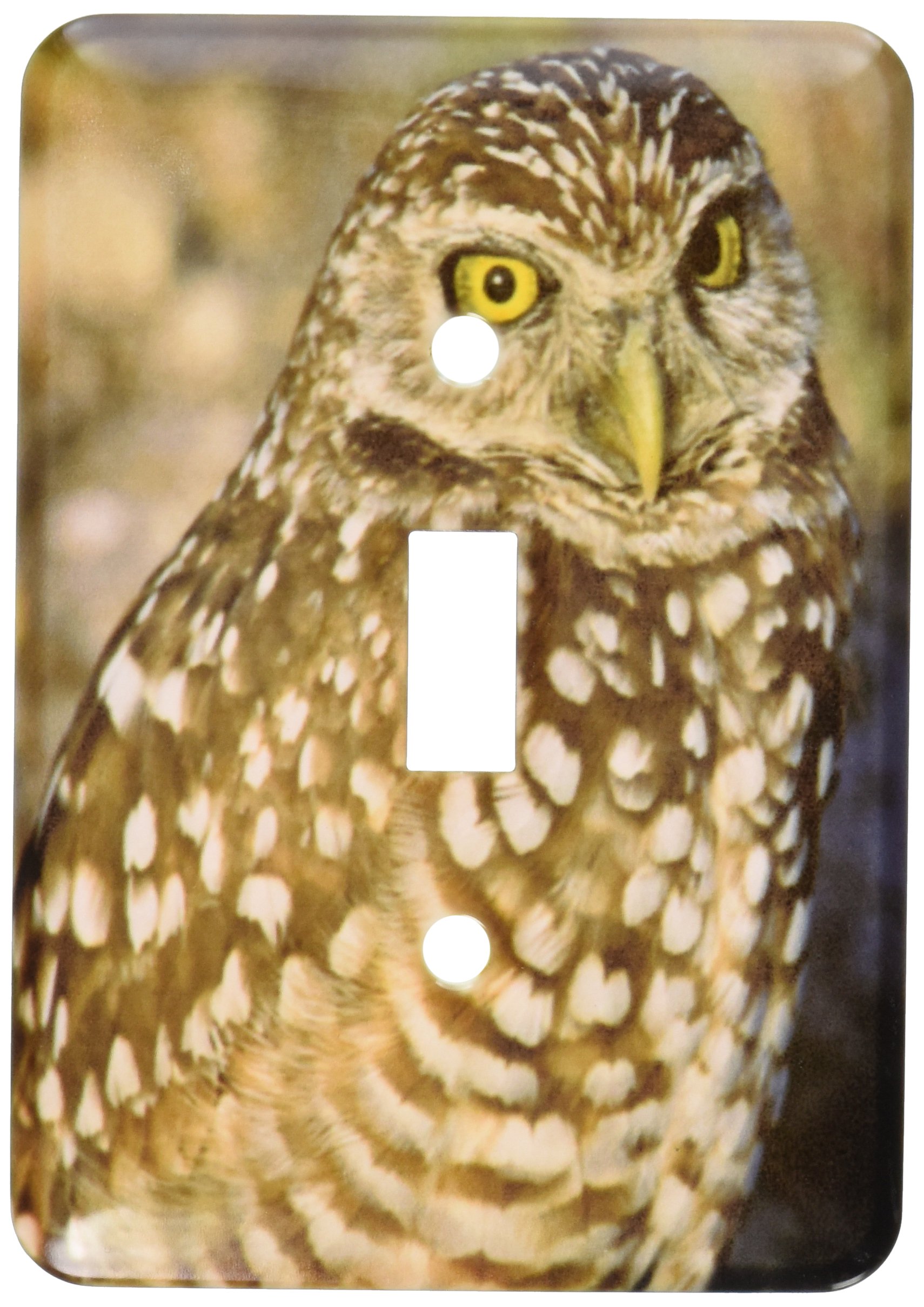 3dRose lsp_45709_1" Burrowing Owl.(Athene Cunicularia).Cape Coral, Florida Toggle Switch