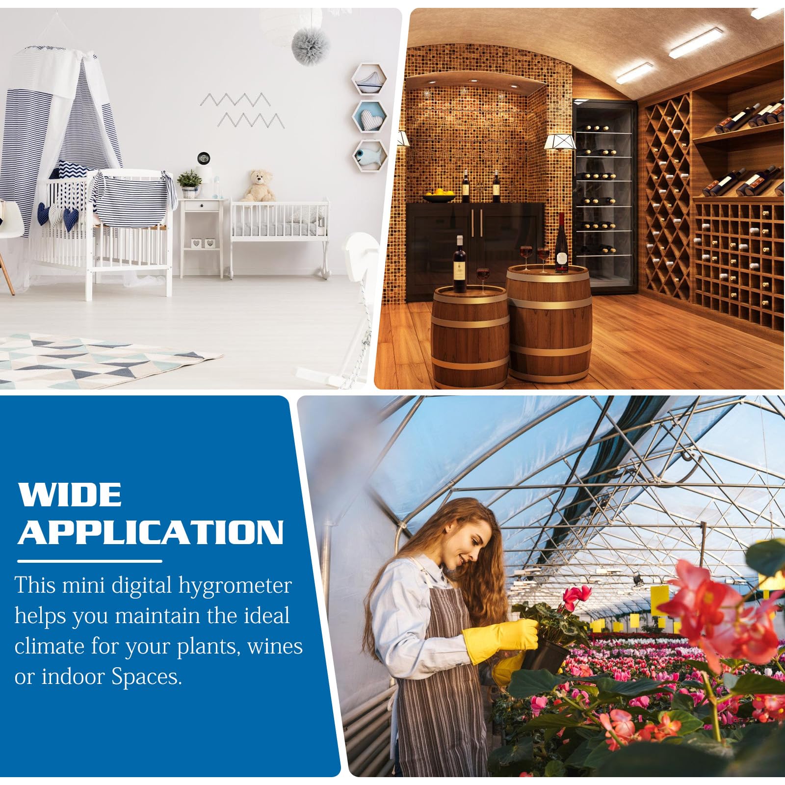 Lot De 2 Mini Thermomètres Hygromètres Numériques LCD De Forme