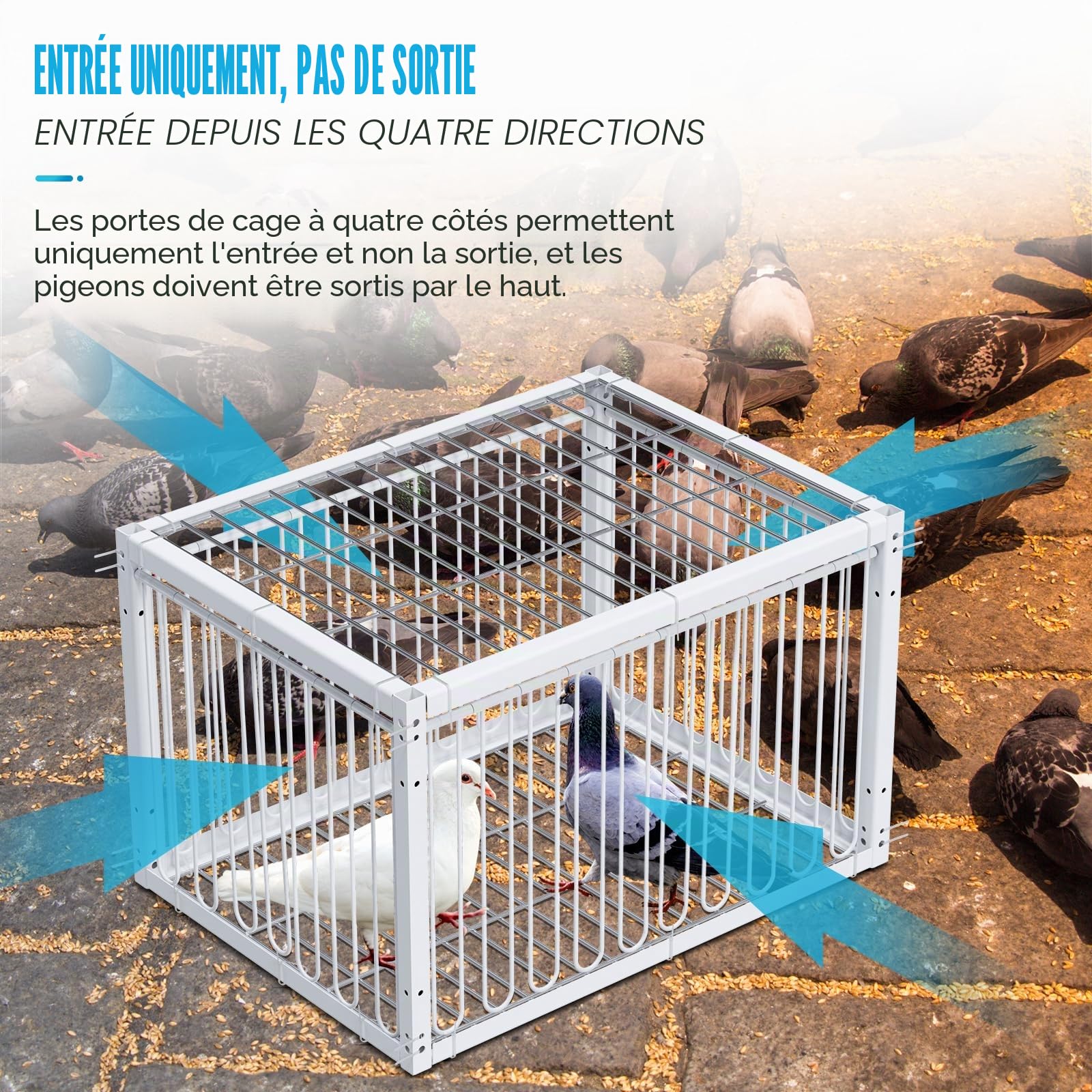 Cage à Oiseaux pour Pigeons, Faisans, Canards Sauvages avec Entrée Unidirectionnelle à 4 Côtés - Cage pour Pigeons de Course, Colombes, Perroquets 40cm