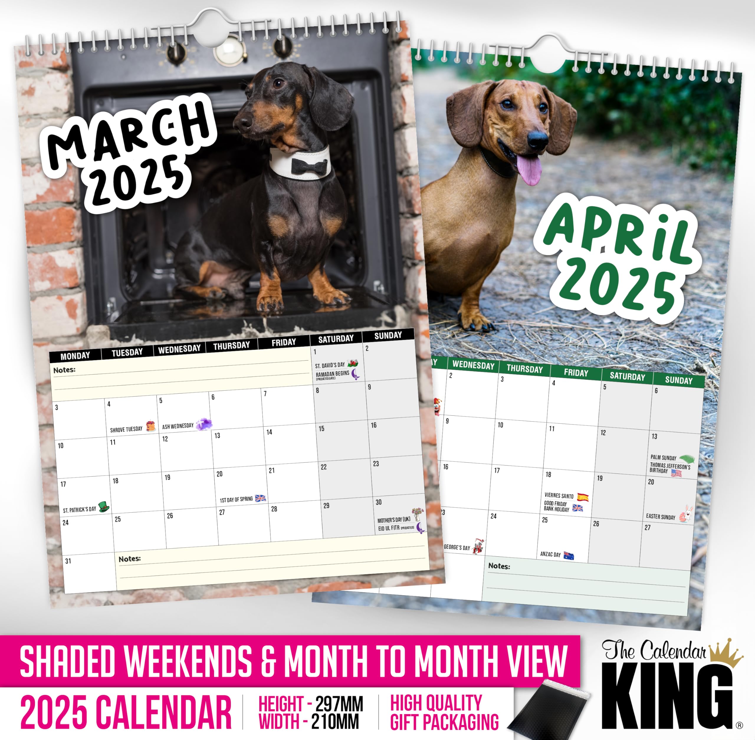 The Calendar King // Cheeky Dachshunds - 2026 Wall Calendar (Full Colour, A4 Size) *** - Image 3