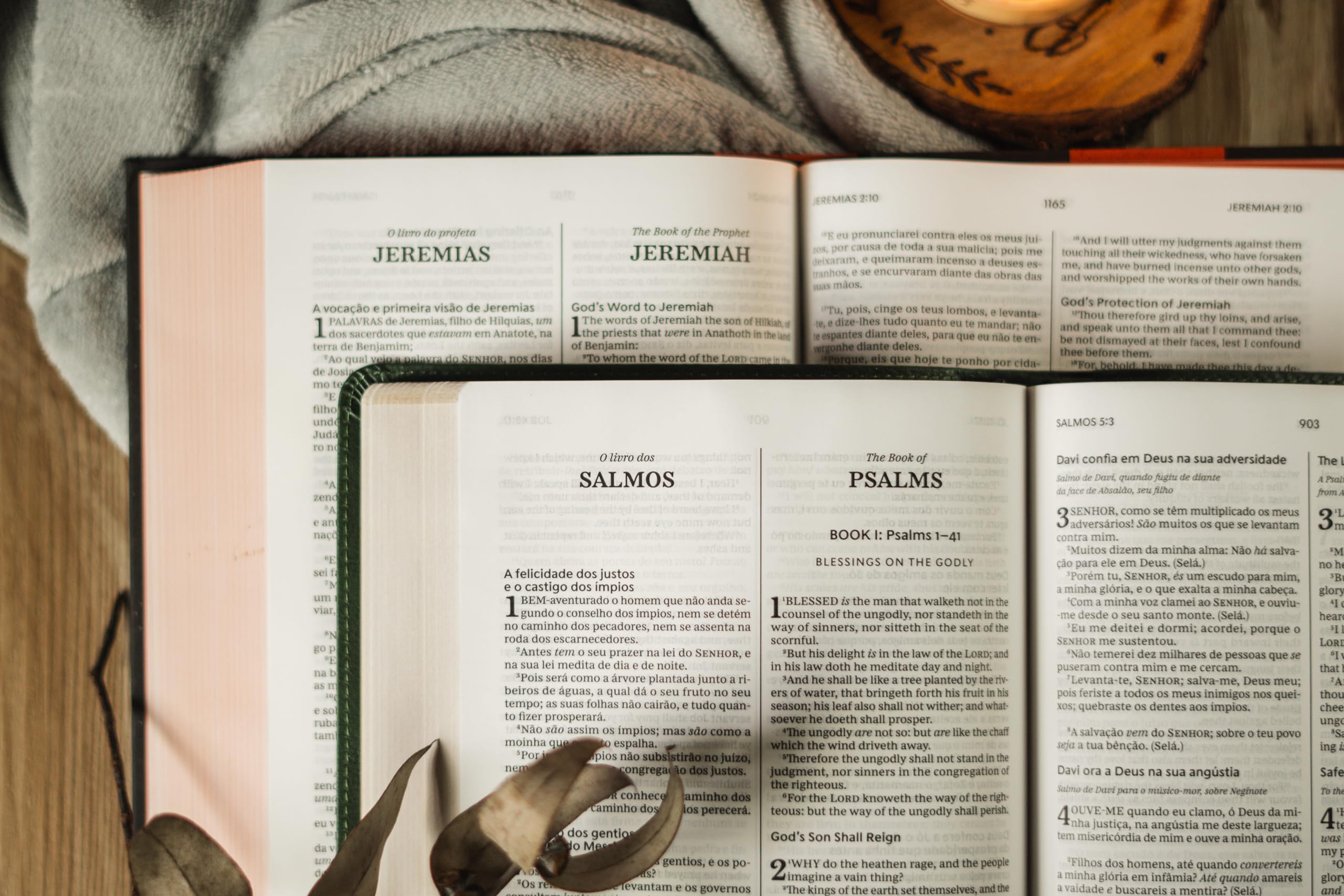 Bíblia Bilíngue, Português/Inglês, ACF/KJV, Couro Soft, Verde, Leitura Perfeita