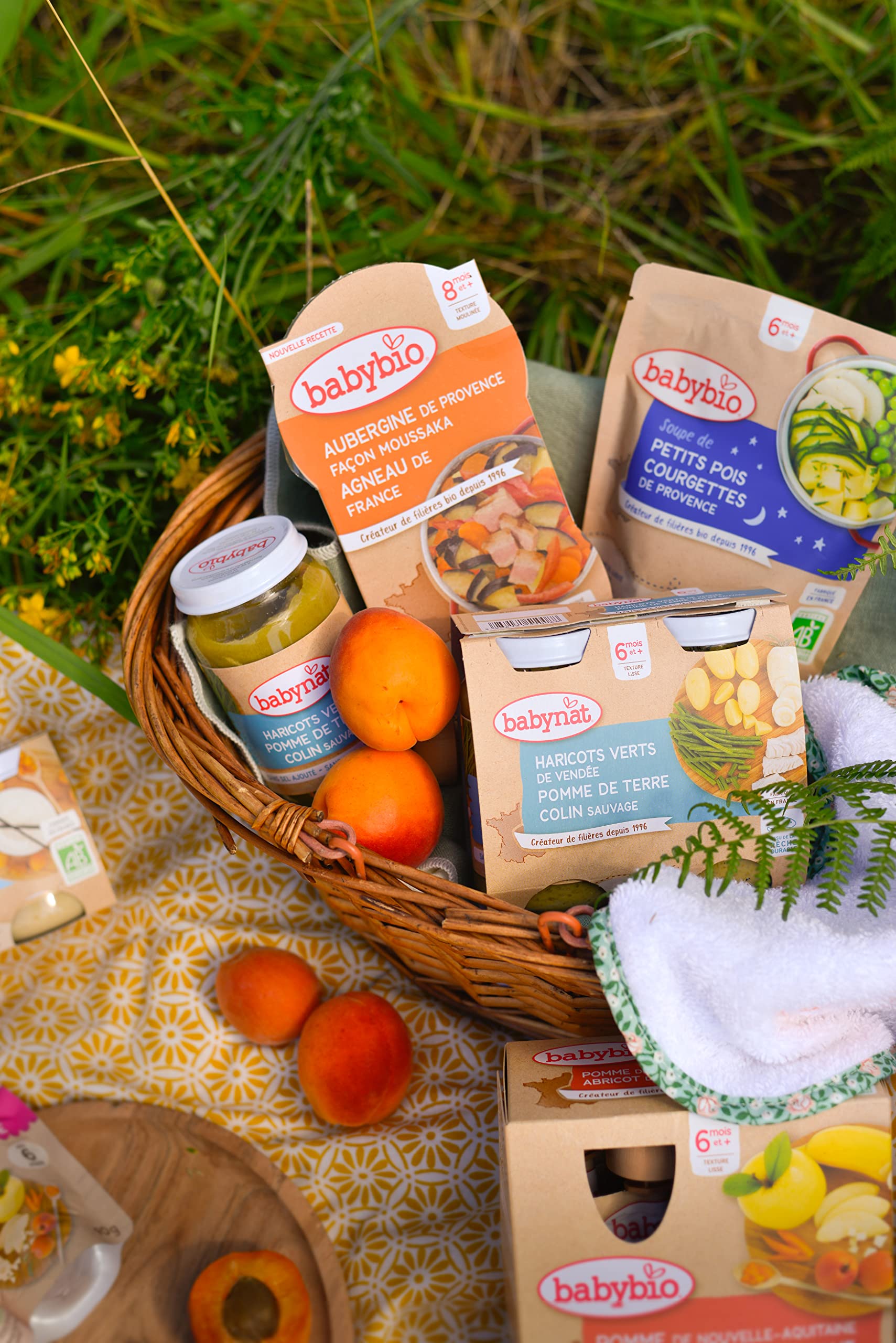 Babybio Assiette Douceur de Panais, Carotte des landes, polenta 12+ Mois 230 g