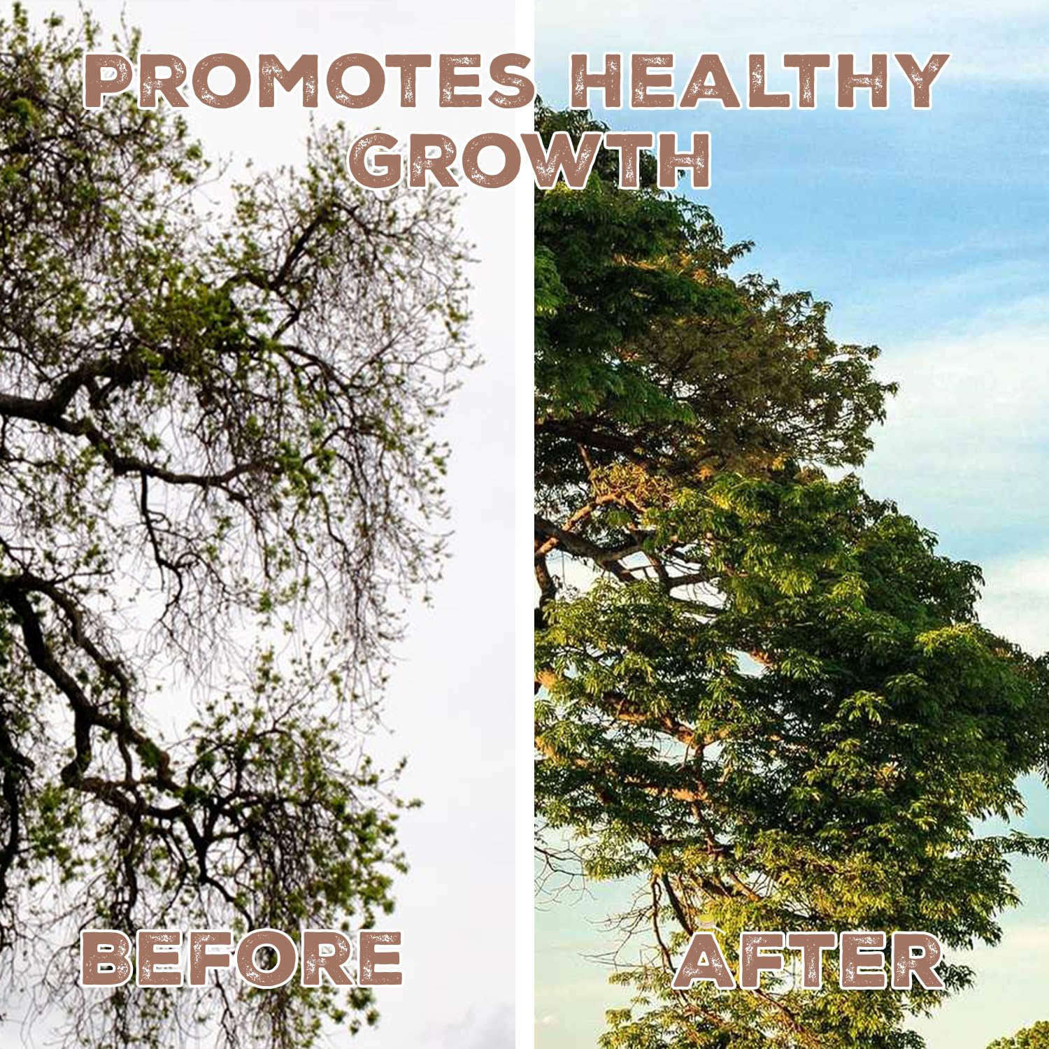 Mauget Stemix Plus 6ml All Purpose Fertilizer, Tree Injector, Pack of 24 Caps