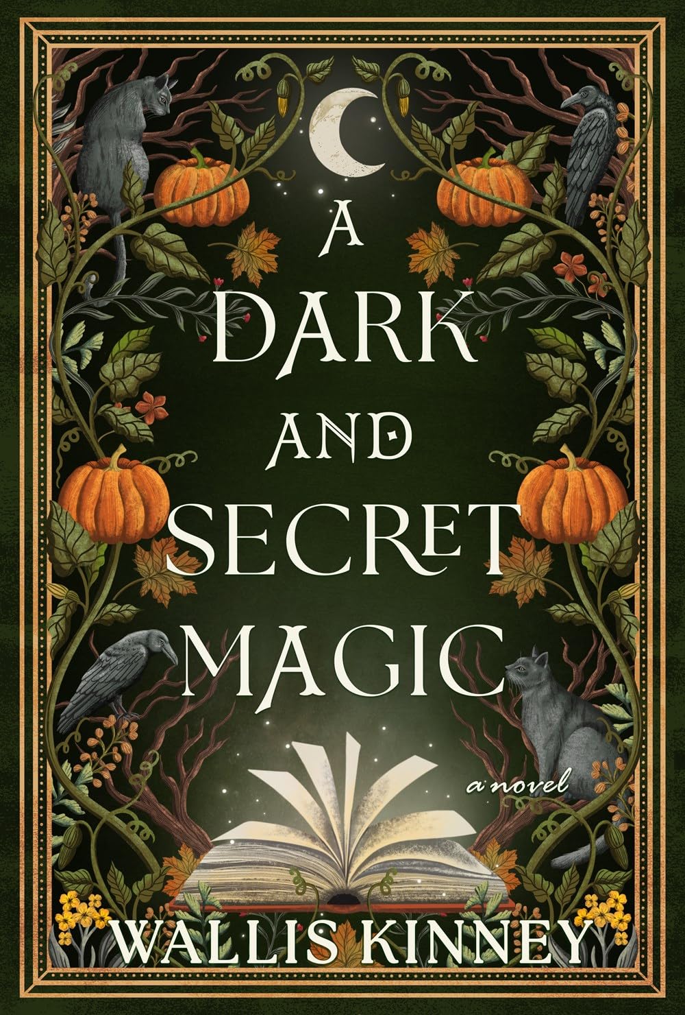 A Dark and Secret Magic A Novel Kinney, Wallis 9781639109890 Amazon A Dark and Secret Magic A Novel Kinney, Wallis 9781639109890 Amazon