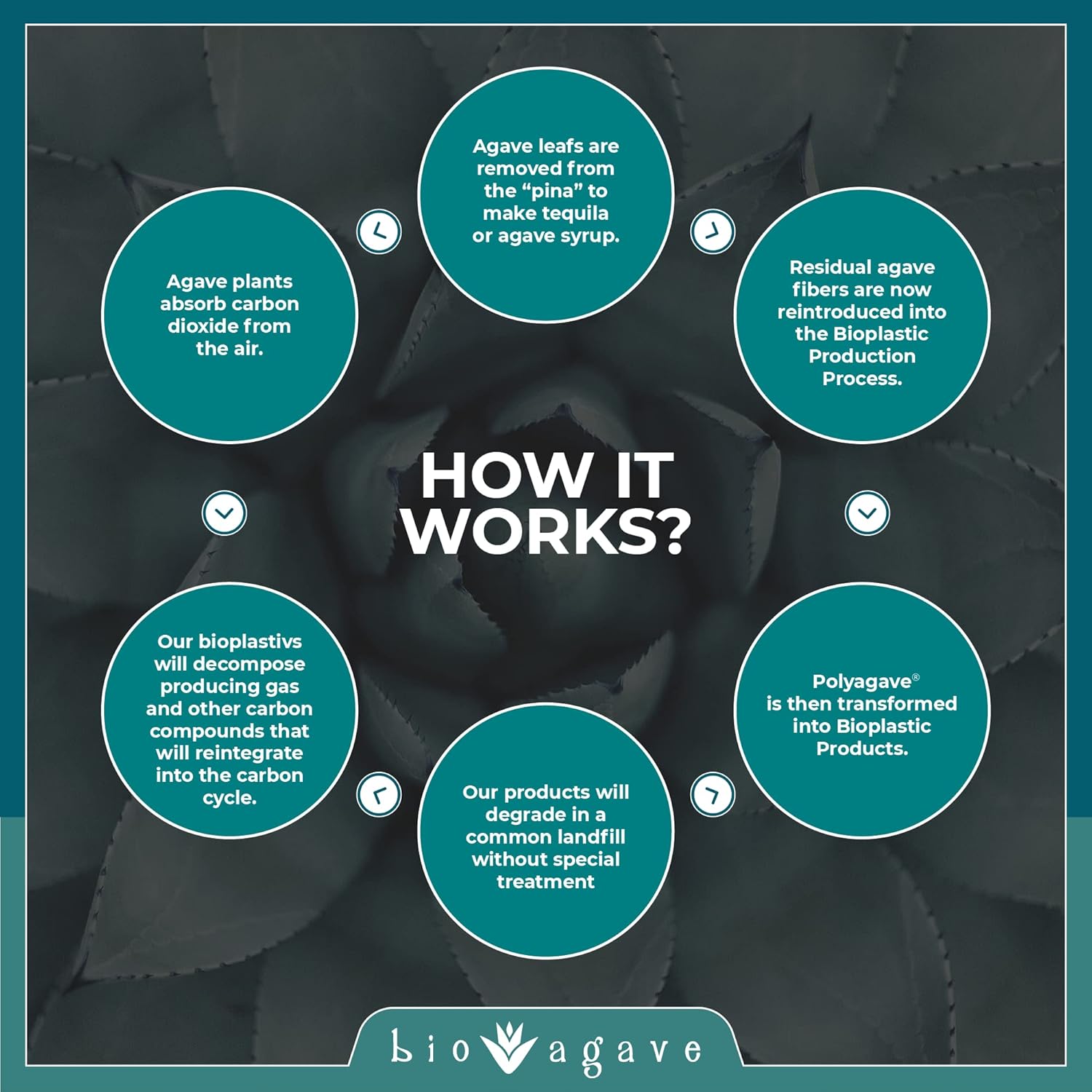 Biodegradable 8.25" Standard Straws Made From Agave 2400 Pcs | Plant Based Eco Friendly Products | Drinking Straws | straws & Reusable straws | Plastic-Free | Compostable