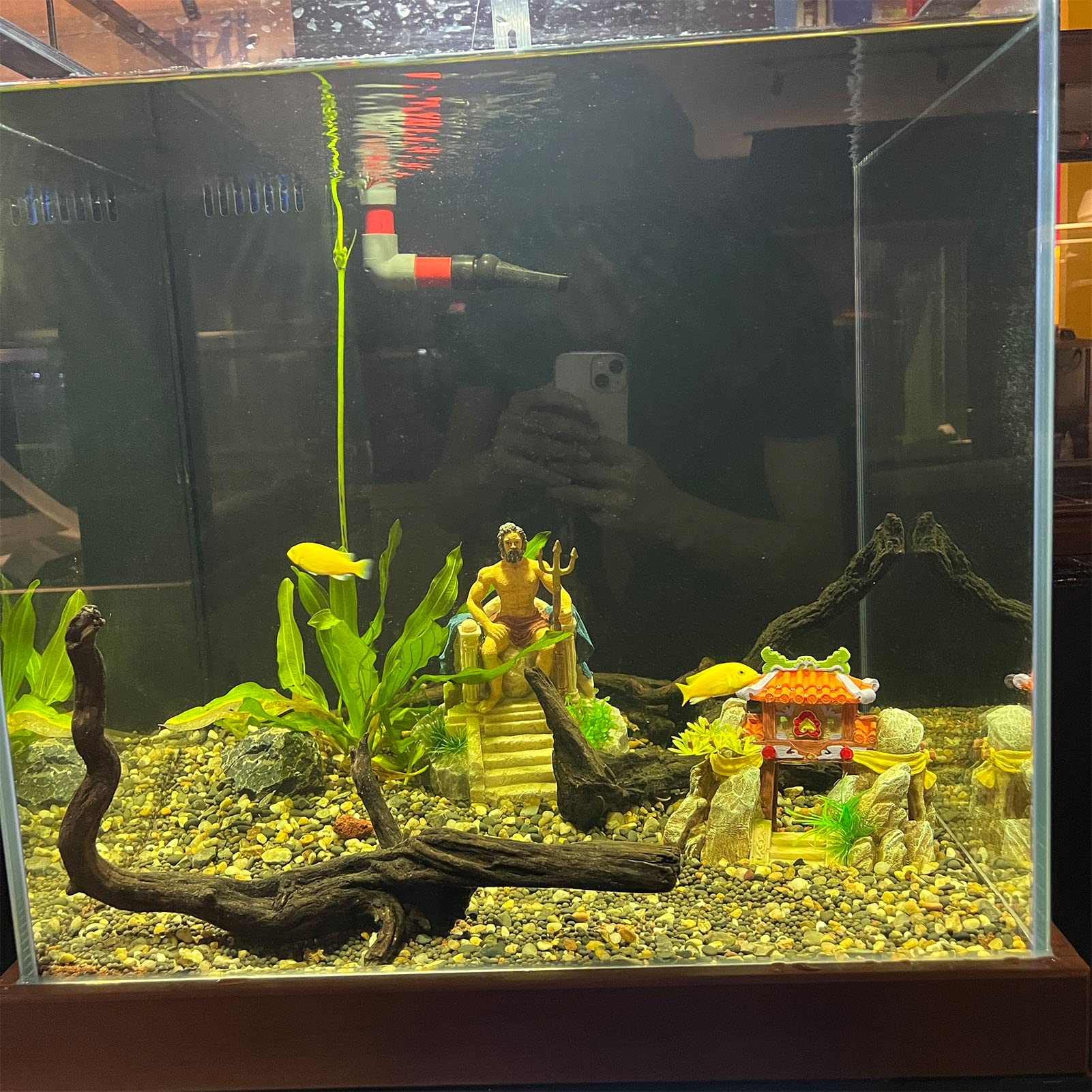 Tyenaza Decorazioni per Acquario, Decorazione Classica per La Casa in Resina, Ornamento per Statua di Acquario per Accessori Subacquei