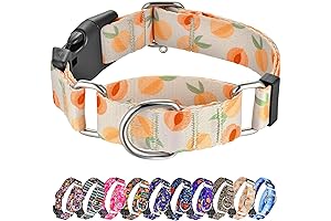 Hikiko Martingale Collar for Dogs: Preview the Perfect Collar for Your Canine Comrade