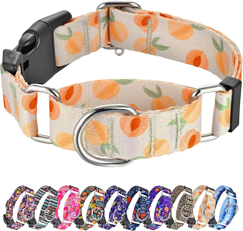 Coleira Martingale Ajustável para Cães em Nylon com Estampa Especial Hikiko, Tamanho M
