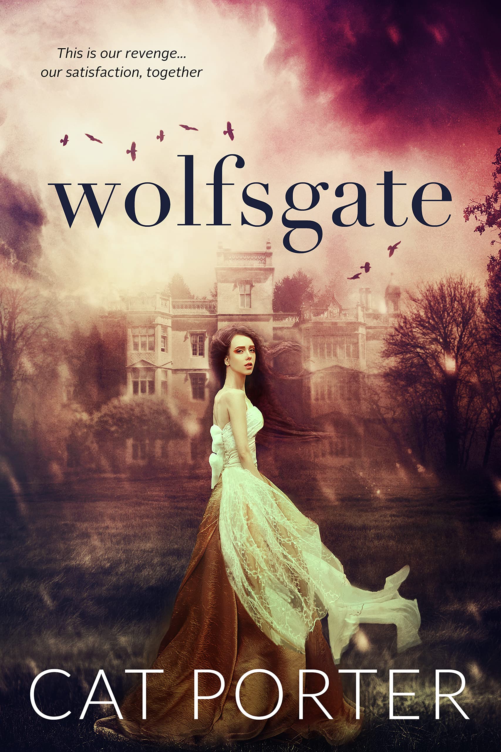 Wolfsgate (Unraveled Destiny Book 1)