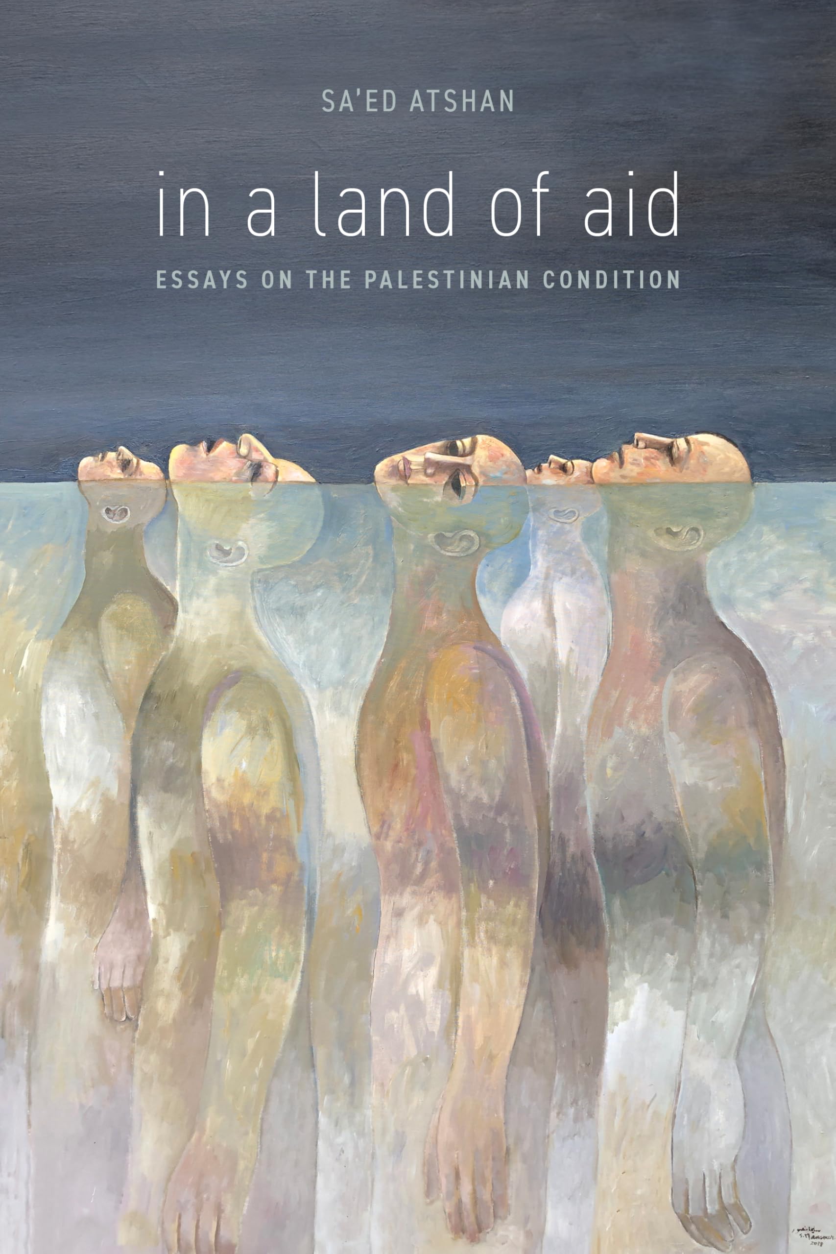 In a Land of Aid: Essays on the Palestinian Condition