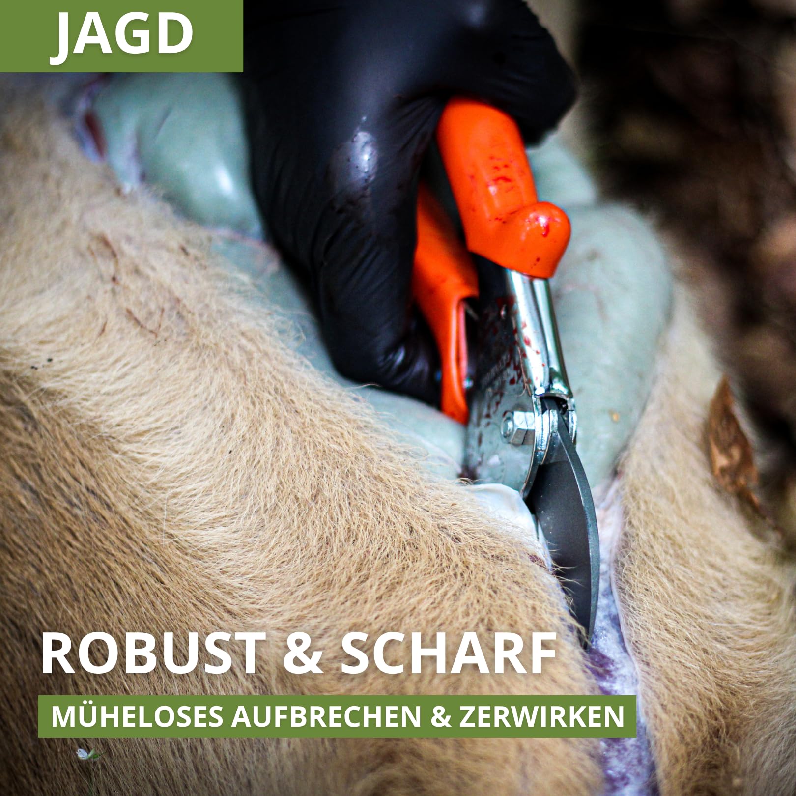 Original LÖWE Jagdschere 1.117 - Schneiden statt Sägen - Robuste Amboss-Schere zum Aufbrechen & Zerwirken von Fleisch und Knochen - ideal für Jäger und Förster