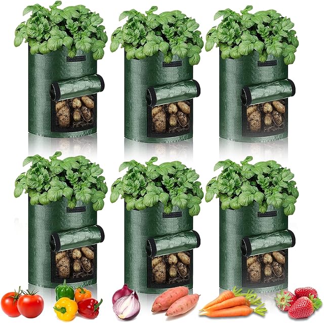 10 Gallon Plant Growing Bags-6 Packs, Fabric Grow Pots for Strawberry Potato Tomato Carrot & Other Vegetable, Heavy Duty Thickened Garden Growing Bags with Window and Handles (Dark Green)