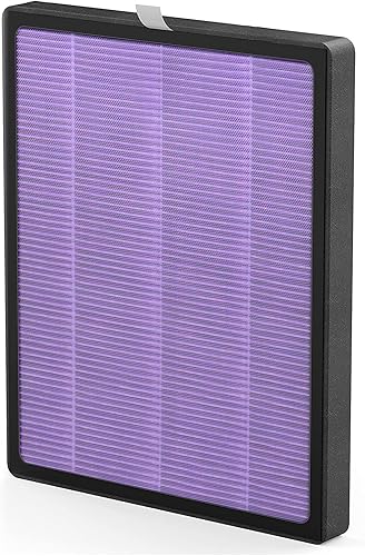 YIOU Filtro de repuesto para purificador de aire R1, prefiltro 3 en 1, filtro HEPA verdadero, filtro de carbón activado de alta eficiencia