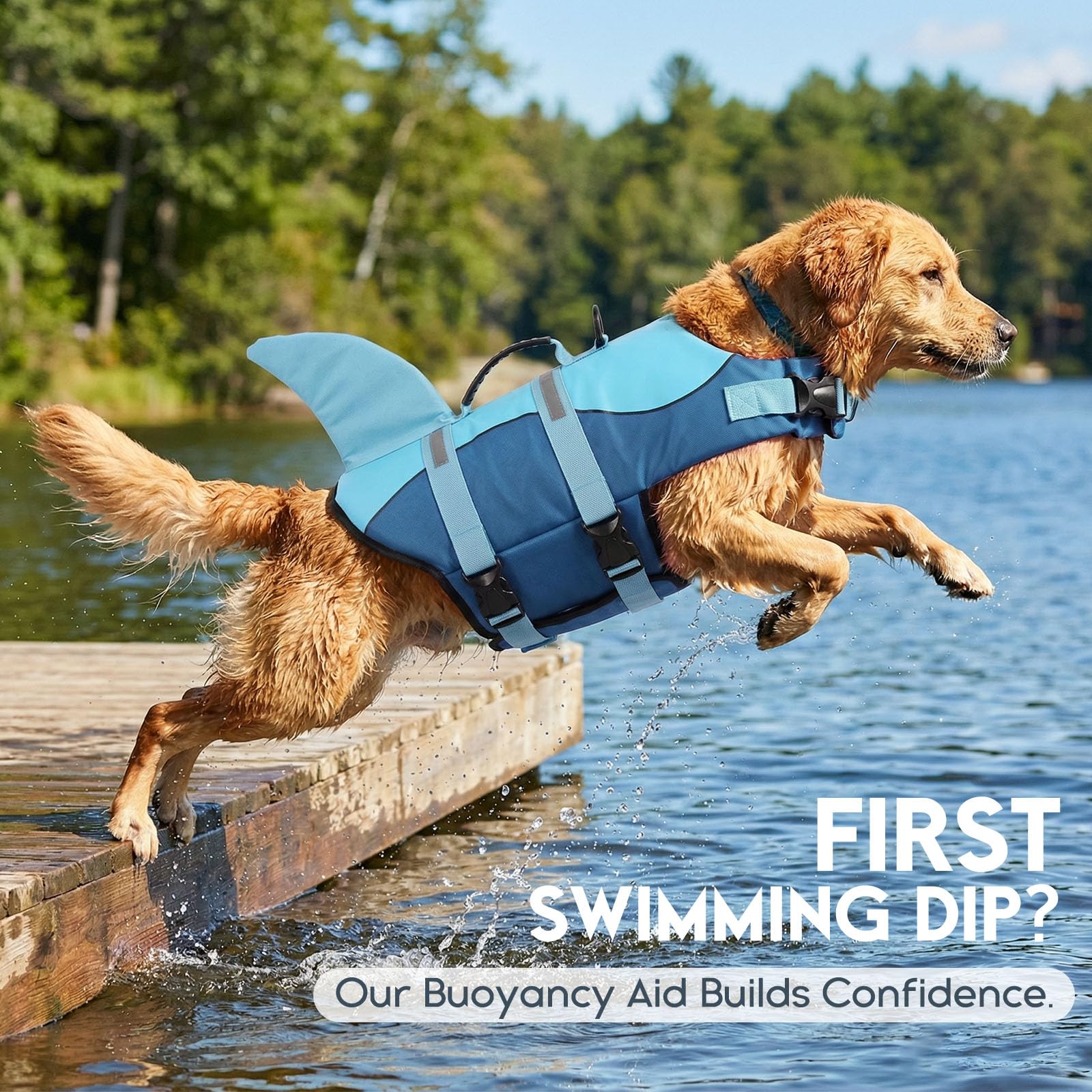 ASENKU Hundeschwimmweste Größe S für kleine Hunde, Schwimmweste für Hund Hai mit Sicherheitsgriff, Reflektorstreifen & D-Ring, ideal für Schwimmen, Boot & Strand
