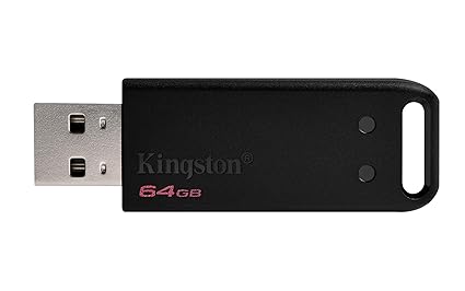 Kingstons DataTraveler 20 64GB USB (DT20/64GBIN)