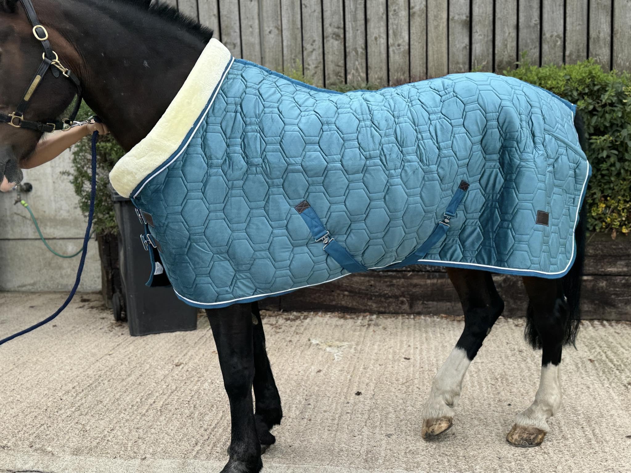 Horse Stable Rug Show Rug Faux Fur Lined 100 gsm Filling Size 5'9"-6'9" (Teal Blue, 6'0")