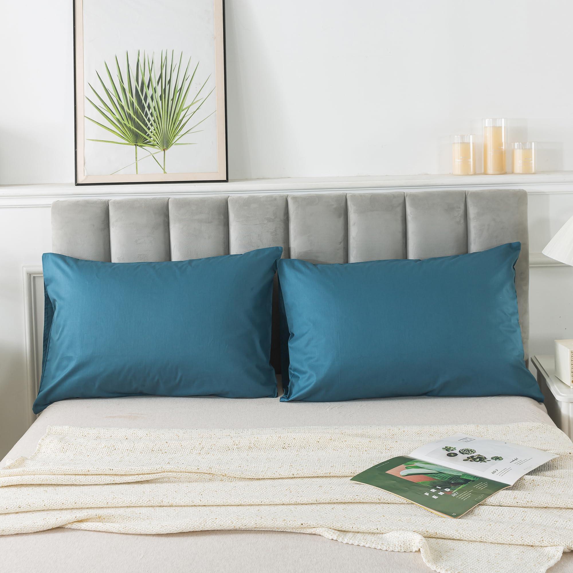H HOUSEHOLD 100 Cotton Queen Size Pillowcases Set of 2 Super Soft and Cozy Wrinkle Fade Stain Resistant
