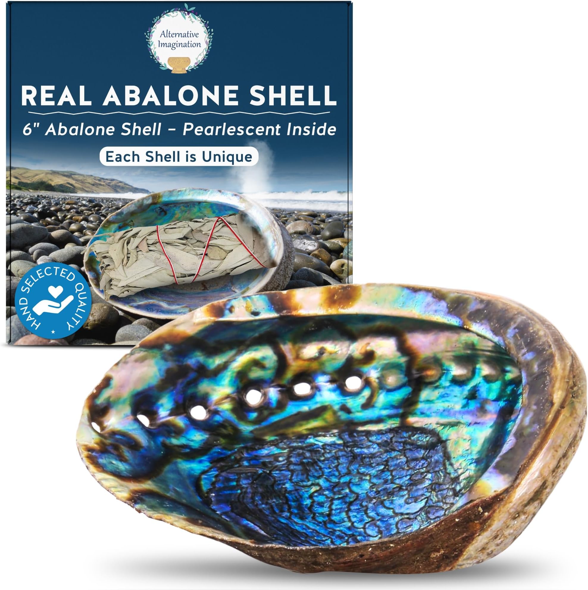 (15cm + Hand Selected Abalone Shell) - Hand Selected Abalone Shell, 15cm or Larger. Perfect for Holding Incense, Trinkets, and More