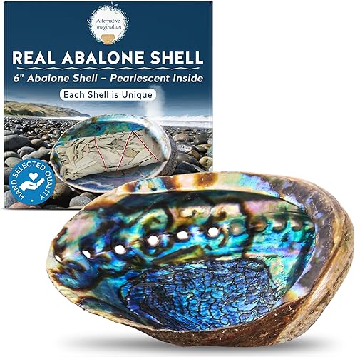 Carcasa de abulón seleccionada a mano, 6 pulgadas o más. Perfecto para sostener incienso, baratijas y más